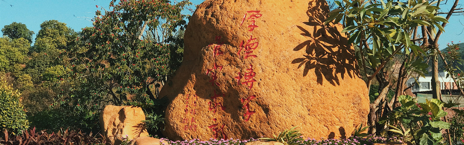 william威廉中文官网